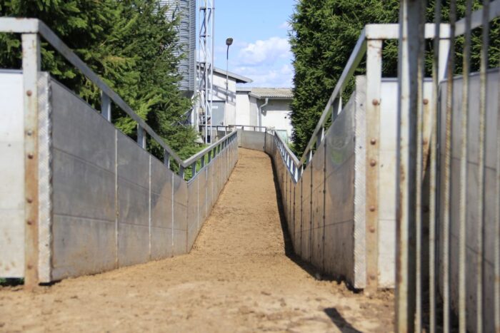 bioasekuracja fermy świń, zamknięcie stada, ASF, ochrona biologiczna trzody chlewnej.