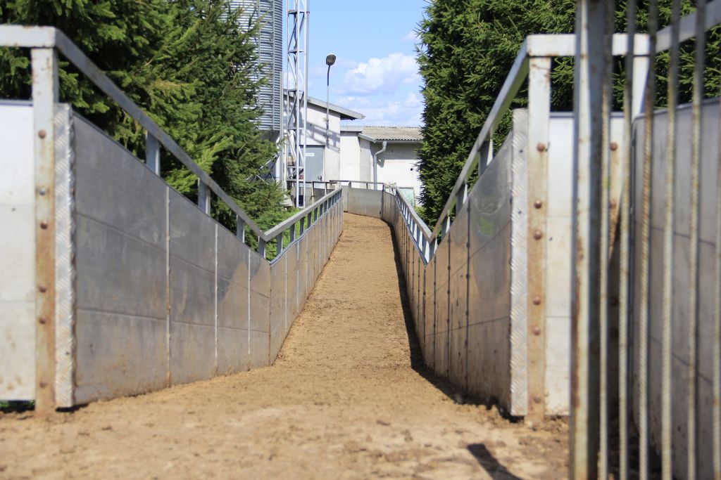 bioasekuracja fermy świń, zamknięcie stada, ASF, ochrona biologiczna trzody chlewnej.