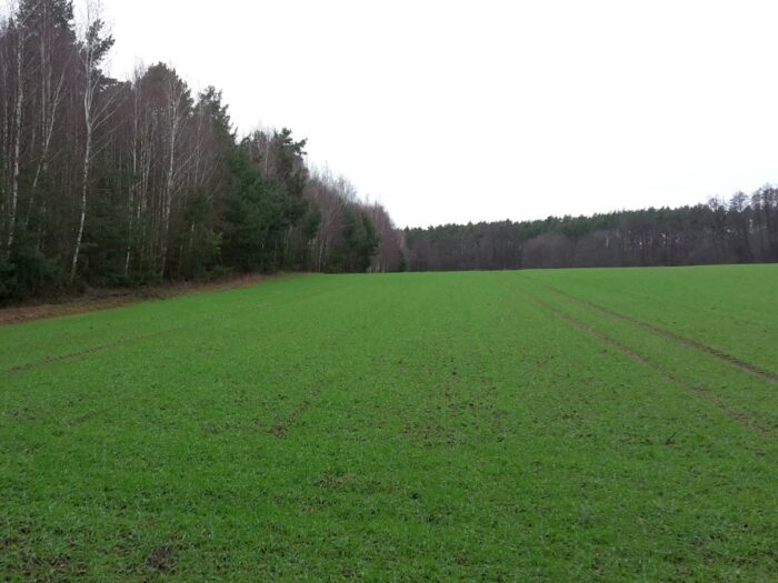 sowińska, mkiś, envi, gleby