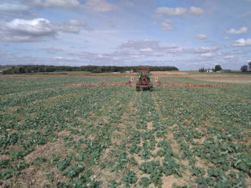 pspo, glifosat, ochrona roślin, odchwaszczanie, oprysk, desykacja, uprawa