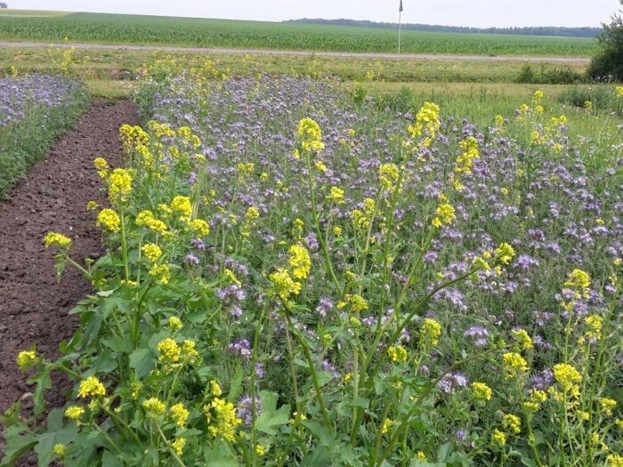 komisja europejska, fundusze na rolnictwo, polityka rolna ue, rolnictwo ekologiczne