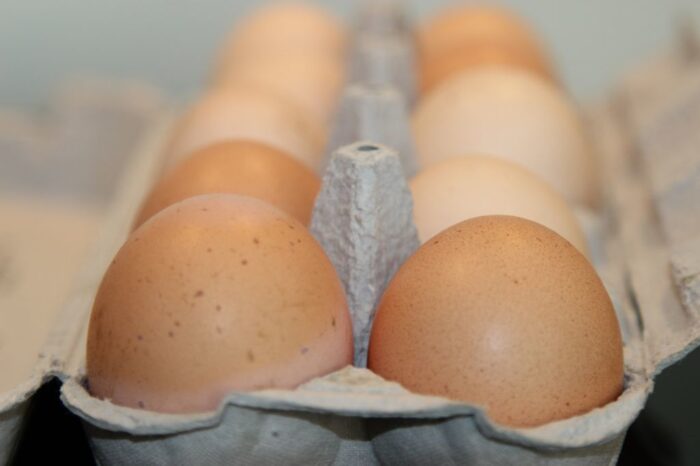 kipdip, gawrońska, drób, jaja, ceny, hurt, konsumenci