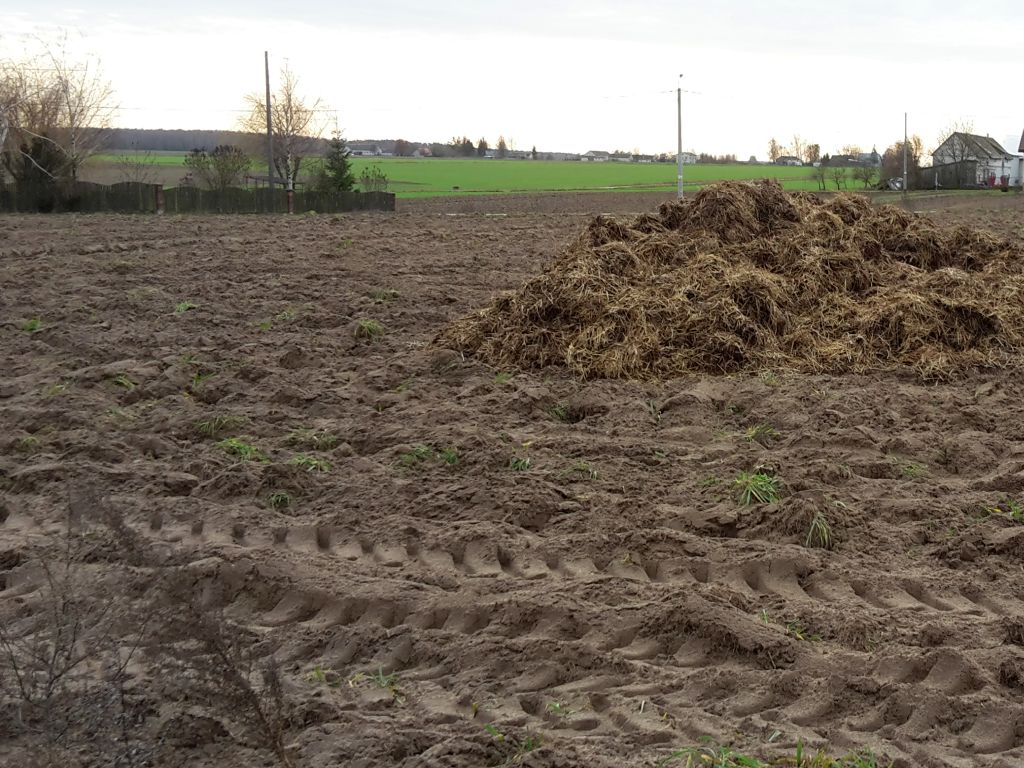 dyrektywa azotanowa, konsultacje, komisja europejska, mrirw