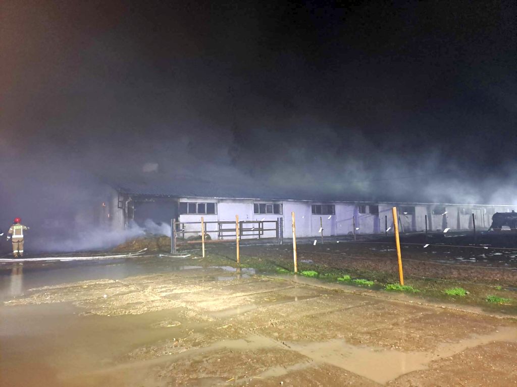 kp psp mogilno, kpp mogilno, pożar, obora, krowy