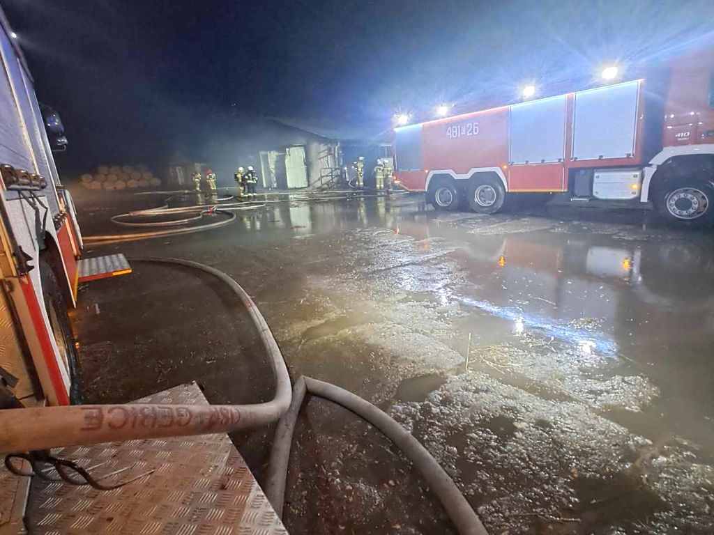 kp psp mogilno, kpp mogilno, pożar, obora, krowy