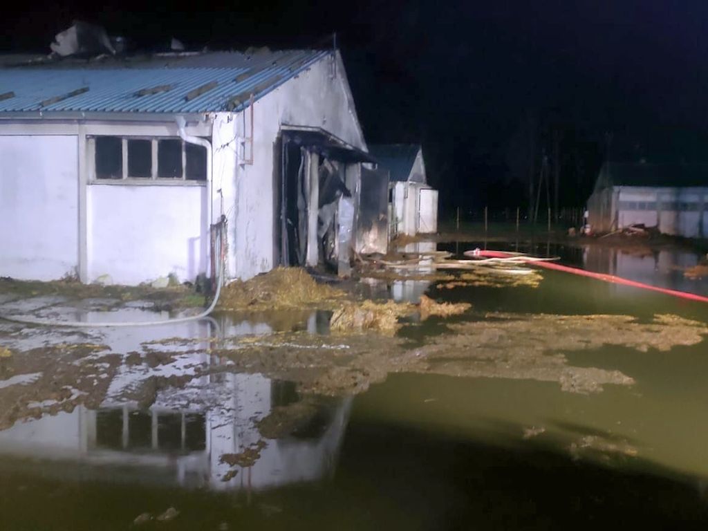 kp psp mogilno, kpp mogilno, pożar, obora, krowy