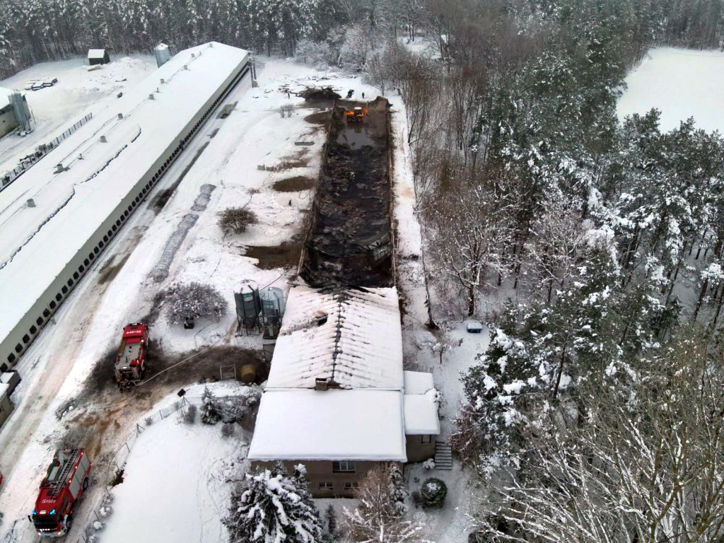 kp psp kartuzy, pożar, ferma, drób, kurnik, kury, straty