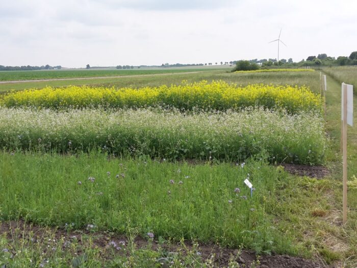 copa-cogeca, posiedzenie, pestycydy, sur, glifosat