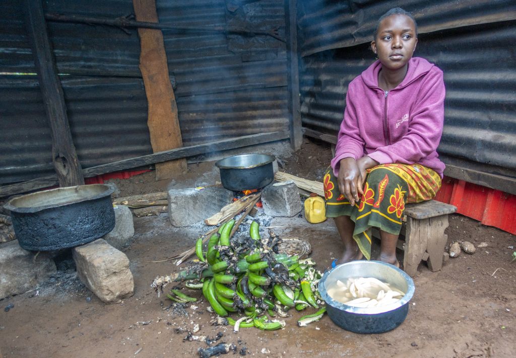 Tanzania, biogazownia, biogaz, energia, obornik, nawóz, Fundacja Ekonomiczna Polska - Afryka Wschodnia, PEAEF