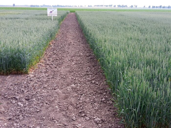 kowr, spółka, akcje, inwestycje, agri-tech, uprawa, technologie