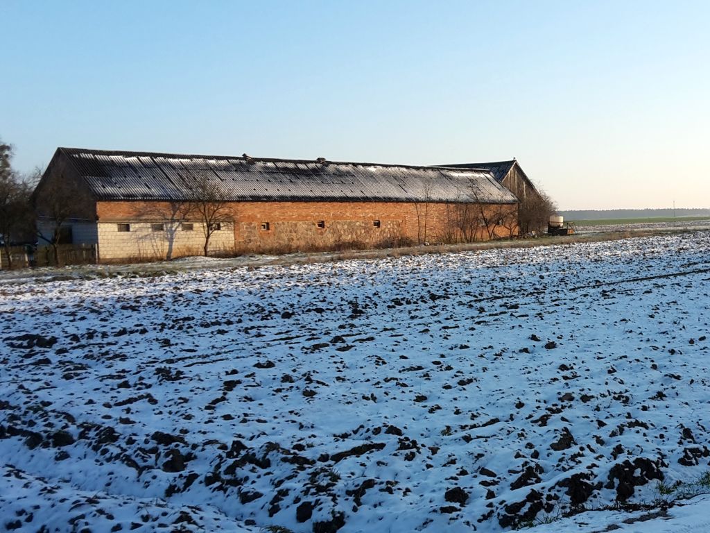 krus, kasa, bezpieczeństwo, gospodarstwo, wypadek, zima, prace