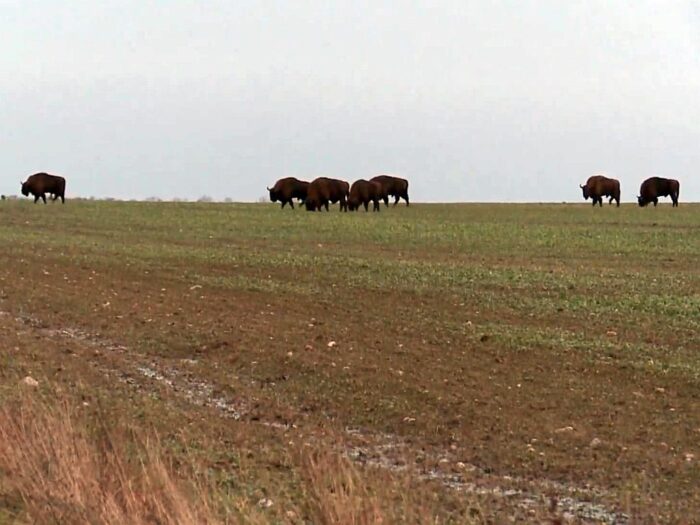 krir, izby rolnicze, samorząd rolniczy, wystąpienie, szkody, szacowanie szkód, terminy, oględziny