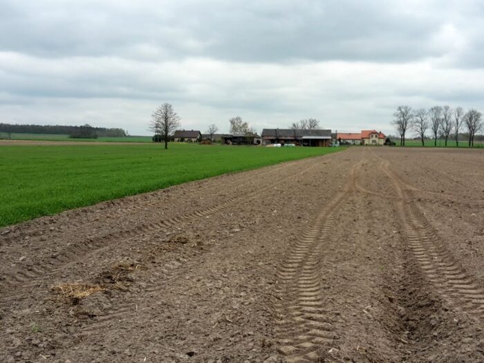 senat, budżet, rolnictwo, rozwój wsi