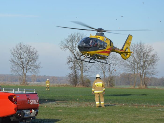 gospodarstwo, wypadek, obsługa zwierząt, byki