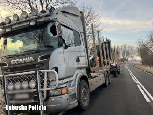 kpp żary, wypadek, zdarzenie drogowe, lód