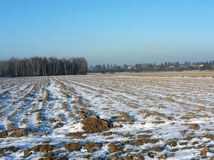 wskaźnik, wysokość czynszu, waloryzacja, czynsz dzierżawny