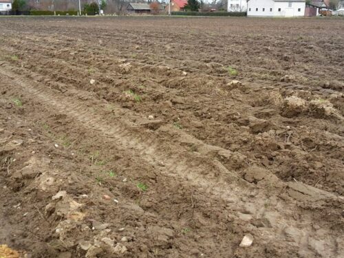 arimr, agencja, dopłaty, ekoschematy, zmiany, rolnictwo węglowe