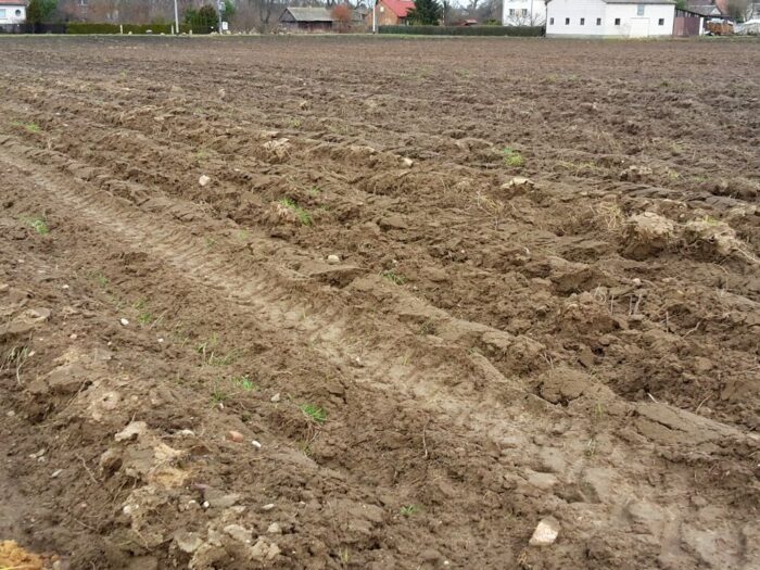 arimr, agencja, dopłaty, ekoschematy, zmiany, rolnictwo węglowe