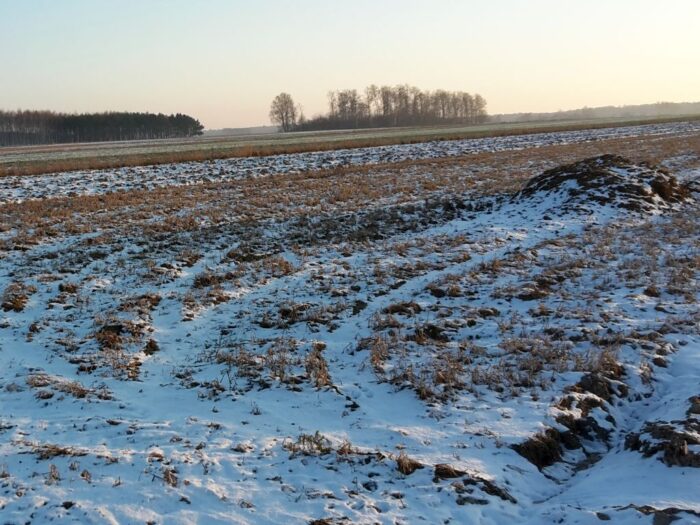 samorząd rolniczy, minister klimatu, prawo, przepisy