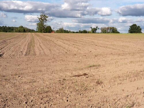 nik, kontrolerzy, kontrole, kowr