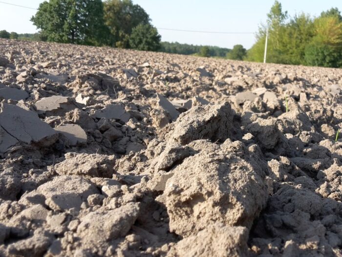 samorząd rolniczy, przetargi ograniczone, zwrsp, państwowa ziemia
