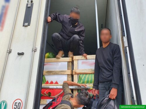 nosg, ciężarówka, arbuzy, imigranci