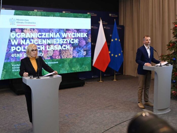 minister, hennig-kloska, wyicnka, ograniczenie wycinki