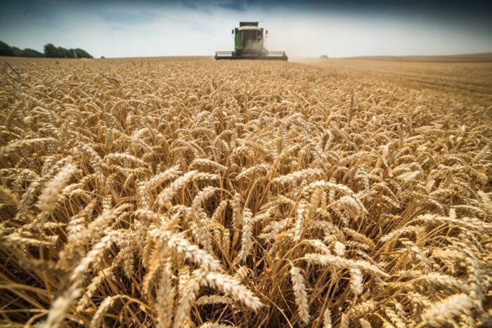 porozumienie rolników, zboża, oleiste, białkowe