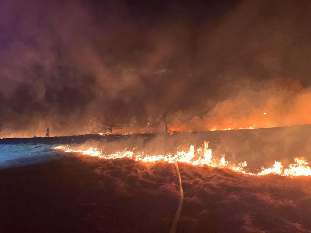 kp psp zgorzelec, pożar, nieużytki rolne, trawy