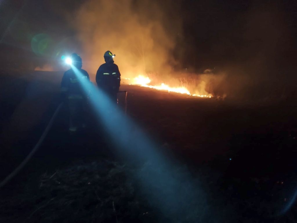 kp psp zgorzelec, pożar, nieużytki rolne, trawy