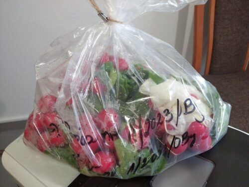 piorin, wiorin bydgoszcz, badania, pozostałości śor