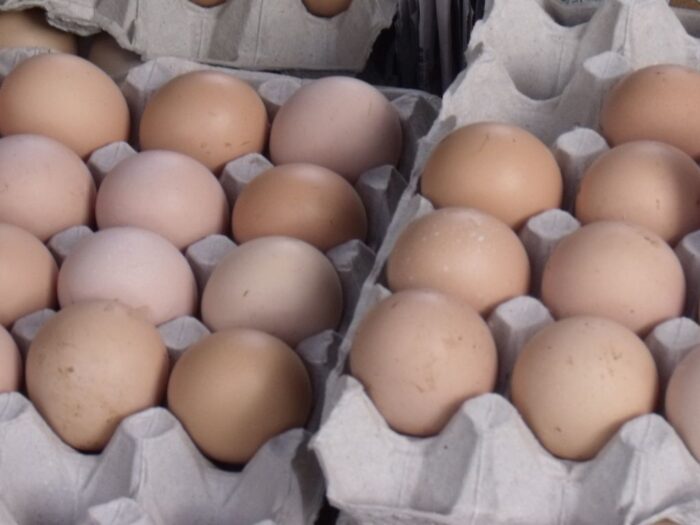 rosja, kazachstan, jaja, jaja kurze