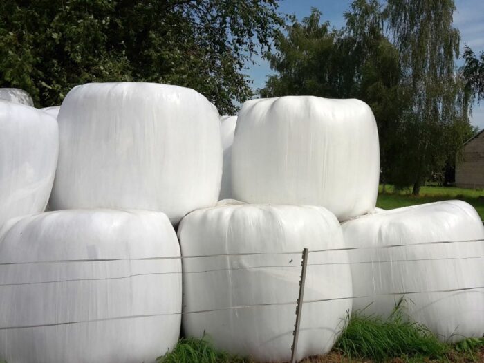 kpp kolno, oszustwo, sianokiszonka, bele