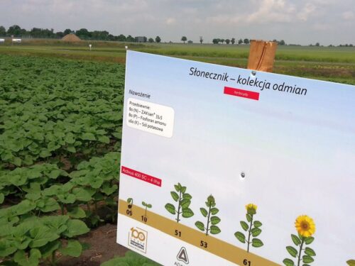 siekierski, samorząd rolniczy, projekt, ustawa, ubezpieczenia upraw