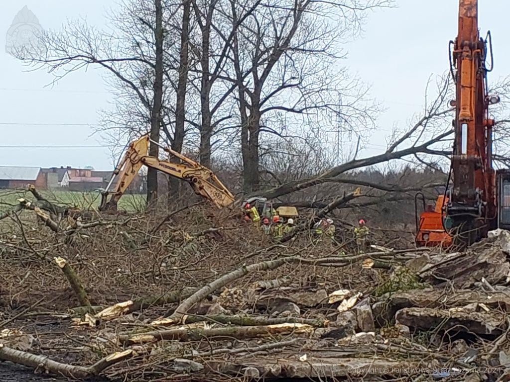 kp psp ostrów wielkopolski, wypadek, wieś, karczowanie, drzewo
