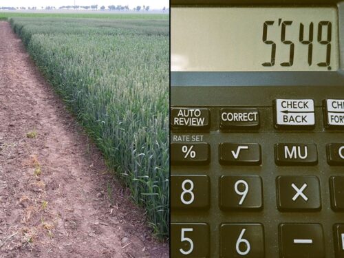 samorząd rolniczy, minister rolnictwa, gus, wskaźnik