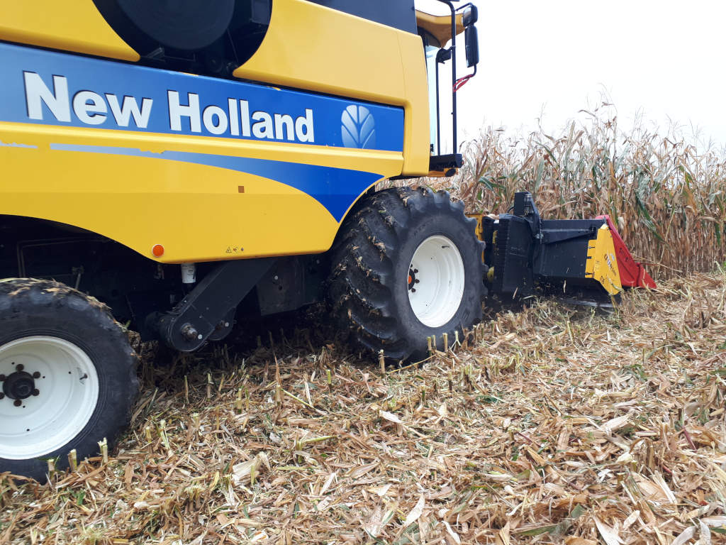 kombajn, kukurydza, Sahryń