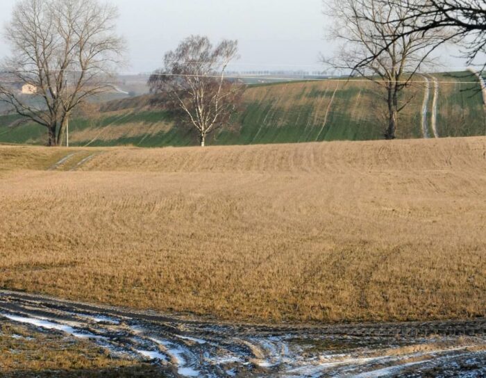 minister rolnictwa, siekierski, wiceminister, kołodziejczak, zielony ład