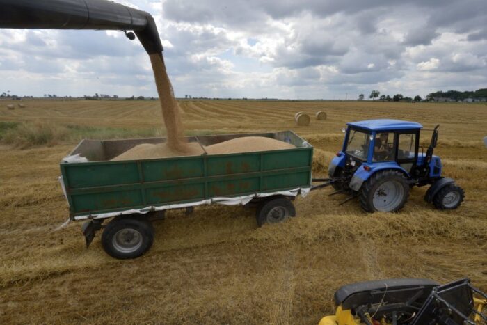 wir, samorząd rolniczy, zboże, ceny zbóż