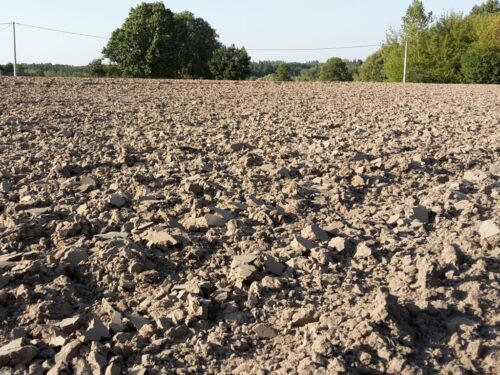 naukowcy, badanie, gleby, ziemia, potas