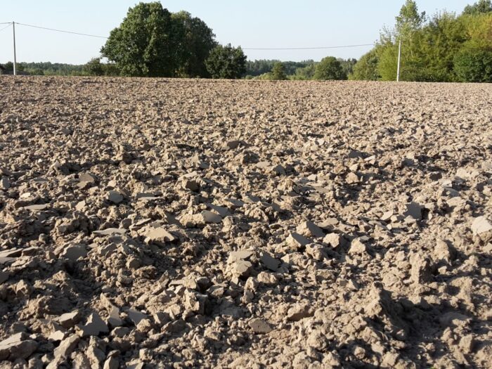 naukowcy, badanie, gleby, ziemia, potas