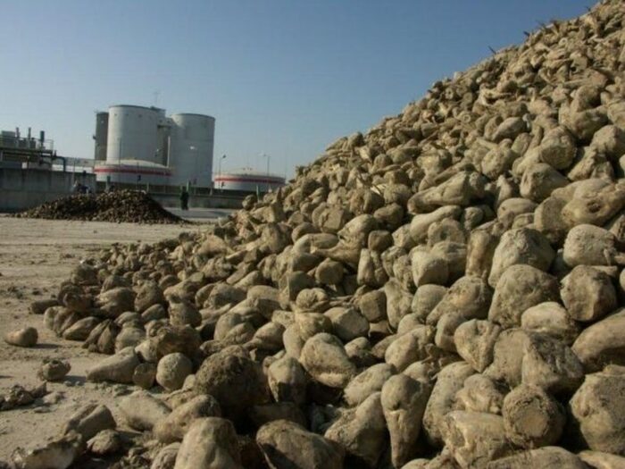 krajowa grupa spożywcza, nabór, zarząd, członek zarządu