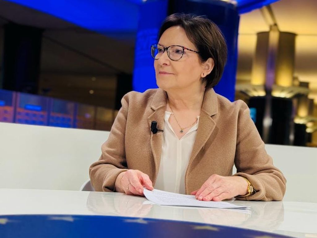 wiceprzewodnicząca pe, kopacz,, komisarz ue, wojciechowski