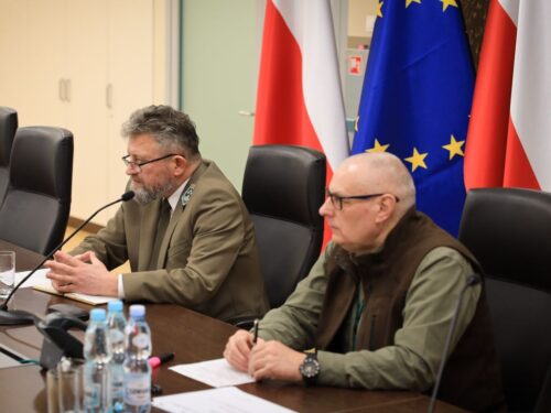 lasy państwowe, lasy, drewno, surowiec