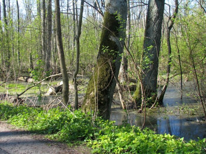 ue, odbudowa przyrody, siedliska przyrodnicze, rolnicy