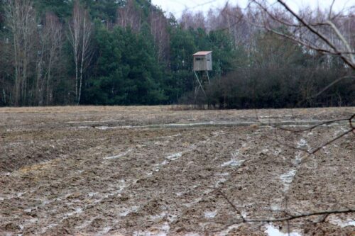 pzł, związek łowiecki, myśliwi, polowania