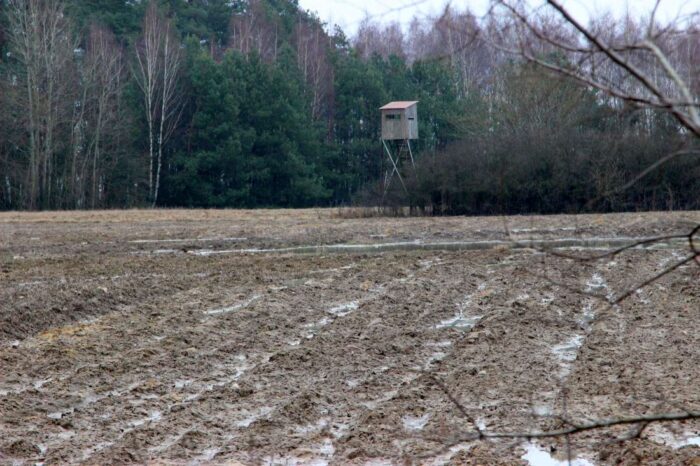 pzł, związek łowiecki, myśliwi, polowania