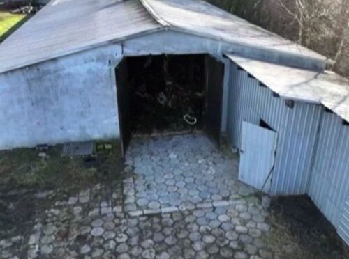 km psp biała podlaska, pożar, ferma, kurnik, drób