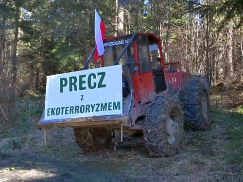 zul, pracownicy leśni, prace leśne, wycinka, protest