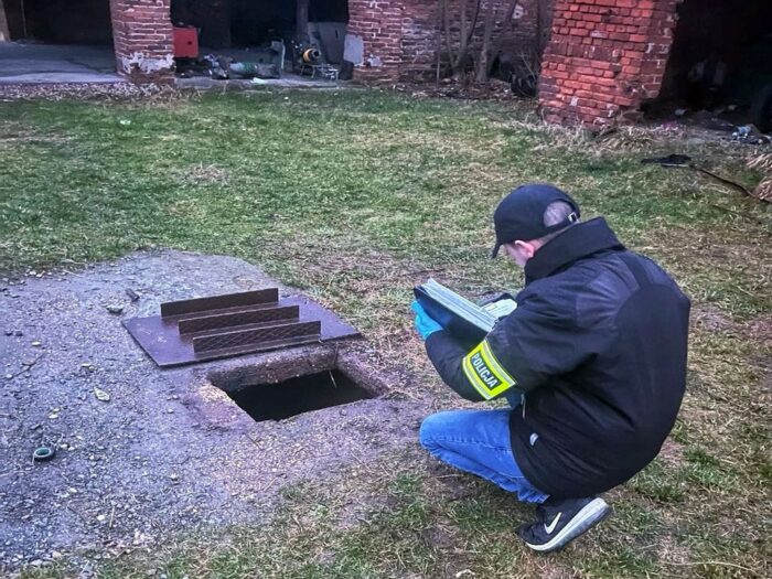 szambo, zbiornik, nieczystości, szczeniaki